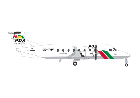 Beechcraft 1900D PGA Express