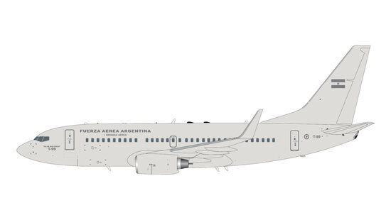 Boeing 737-700 Argentine Air Force / Fuerza Aérea Argentina 