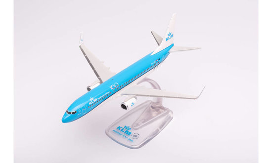 Boeing B737-800 KLM " Pijlstaart - Pintail "