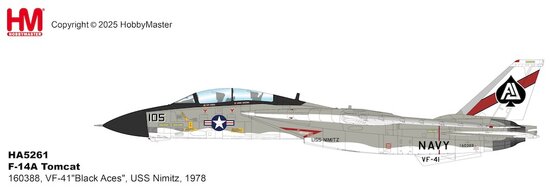 Grumman F14A Tomcat US Navy