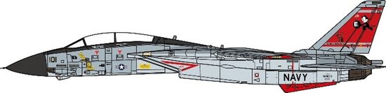 Grumman F14D Tomcat US Navy VF-31 Tomcatters, The Last Flight, 2006