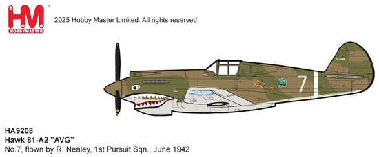 Curtiss P-40B Hawk 81-A2