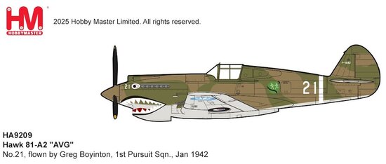 Curtiss P-40B Hawk 81A-2 "AVG", Greg Boyinton 1942