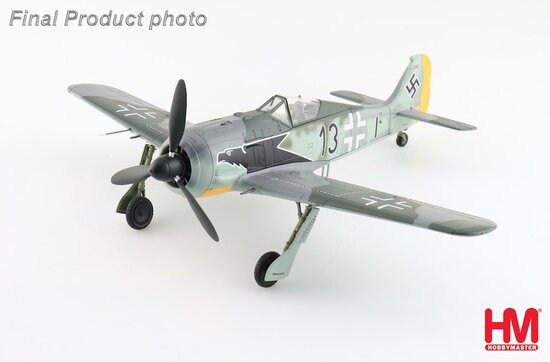 FW Luftwaffe Black 13, 8/JG.2