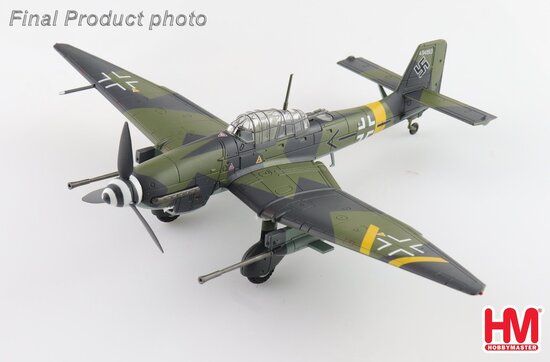 Junkers Ju87G-2 Tank Buster WNr, Slovakia 1944