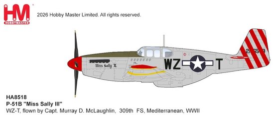 P51B Mustang "Miss Sally III"
