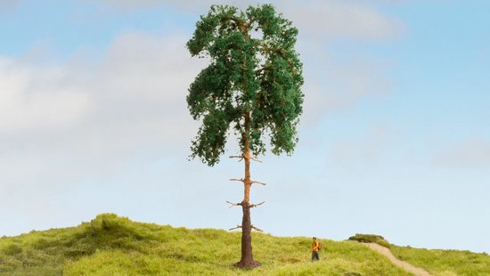Baum – Kiefer 18CM