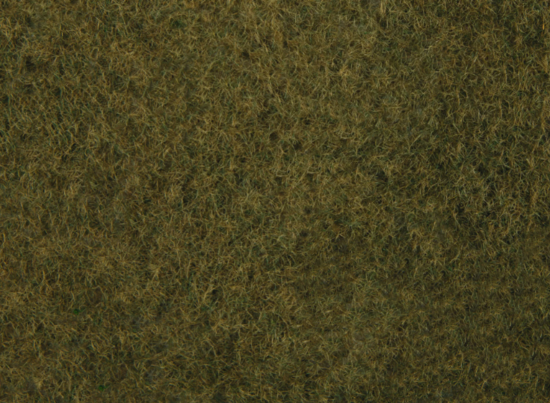 Foliage wild grass, olive green