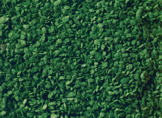 Leaves - medium green 100g