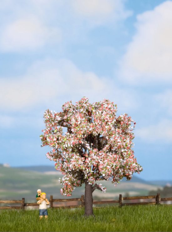 Kvitnúci ovocný strom 7,5cm