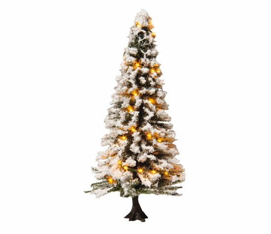 Beleuchteter Weihnachtsbaum