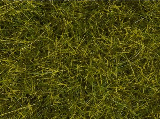 Wild Grass XL “Meadow”