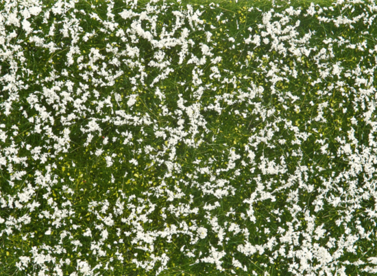 Foil - white meadow  12 x 18 cm