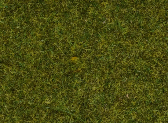 Streu - Gras "Wiese" 2,5 mm, 100 g