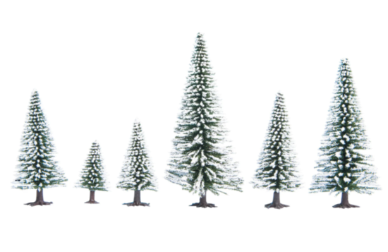 Snowy fir trees