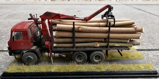 Tatra T815 Hara - Lesovoz s dioramou