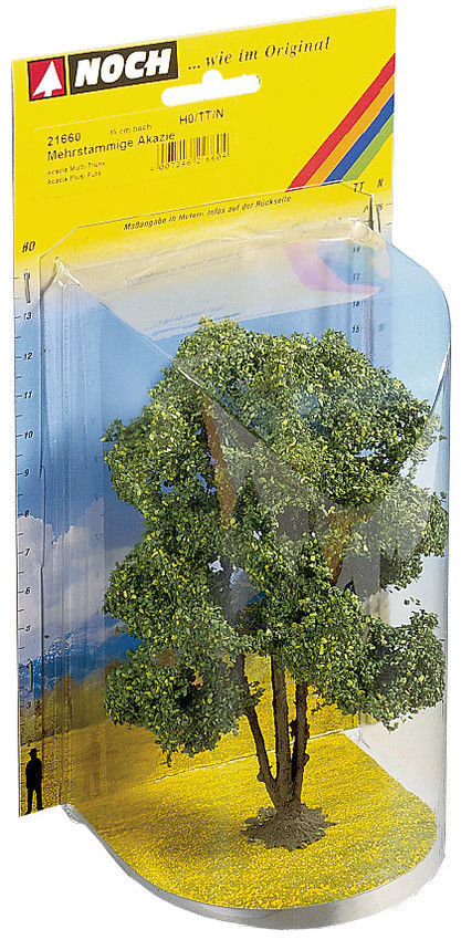 Strom Acacia 15cm - Profi serie