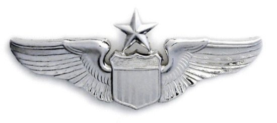 Original Abzeichen - USAF Profi-Pilot Wings
