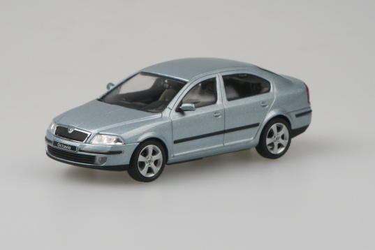 Auto Skoda Octavia 2004 P-grau m. Stein