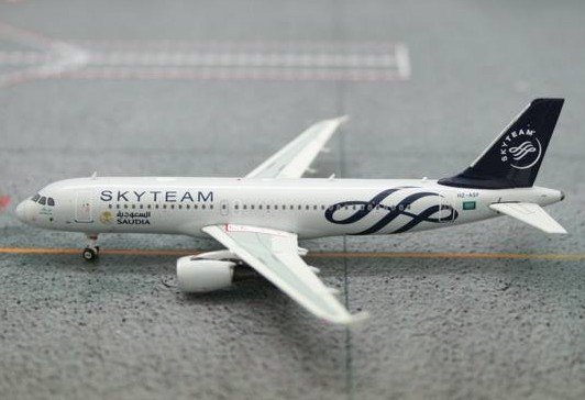 Airbus A320 in Saudi-Arabien " Skyteam "