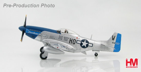 P-51D Mustang "Moonbeam  McSwine" 487th FS, 352nd FG, Sept 1944