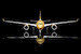 sq-wings-l2410fd-airbus-a350-1000-starlux-airlines-airsorayama-gold-b-58554-flaps-dow-t30-220698_4