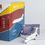 ng-models-20123-arj21-700-genghis-khan-airlines-b-099v-x13-203098_7 (1)