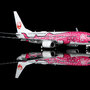 sq-wings-l2349fd-boeing-737-800-japan-transocean-air-sakura-jimbei-ja06rk-flaps-down-x59-220694_9