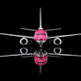 sq-wings-l2349fd-boeing-737-800-japan-transocean-air-sakura-jimbei-ja06rk-flaps-down-xfd-220694_2