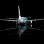 sq-wings-l2347fd-boeing-737-800-japan-transocean-air-yui-jinbei-ja07rk-flaps-down-x3a-220689_1
