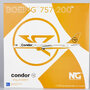 ng-models-42021-boeing-757-200-condor-d-abnt-x5f-201771_12