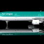 sq-wings-l2127-mcdonnell-douglas-md11-aer-lingus-n272wa-x52-216870_2
