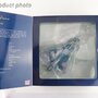 hobbymaster-ha1619-dassault-mirage-2000-5-102-mk74-french-air-force-2-x-2000l-fuel-tank-1x-1300l-fuel-tank-2-x-mica-ir-4-x-mica-em-xb6-200544_5