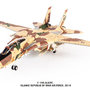 jc-wings-jcw-72-f14-013-grumman-f14a-tomcat-islamic-republic-of-iran-air-force-2014-x49-190767_0