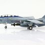 hobbymaster-ha5238-grumman-f14d-tomcat-us-navy-no-164347-vf-213-black-lions-2006-final-cruise-x0d-179807_2