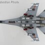 hobbymaster-ha6022-sukhoi-su-27sk--military-parade-of-the-century-scheme-13046-unit-of-wang-hai-former-nanjing-military-region--plaaf-1999-x63-209019_4