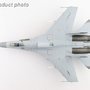 hobbymaster-ha6018-sukhoi-su27sm-flanker-b--j-11bhg-low-visibility-scheme-no19-pla-naval-air-force-2023-x82-195167_8