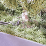 rs_22824_06900_06920_09310_06921_Anwendung_3 (1)