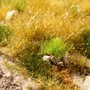rs_22670_06900_A