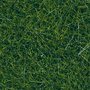 762scr_91821c0e1fa9a25_1_