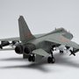 AF100663