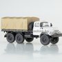 TR10081