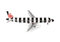 Airbus A320 Condor 