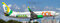 Boeing 737-800 GOL Linhas Aereas 