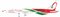 Boeing 787-8 Dreamliner Royal Air Maroc