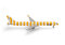 Condor Boeing 757-300 