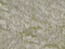 Wrinkle Rocks XL „Seiser Alm“