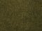 Foliage wild grass, olive green