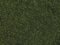 Foliage foliage, dark green