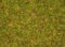 Sprinkling - Flowering meadow 2.5 mm, 120 g